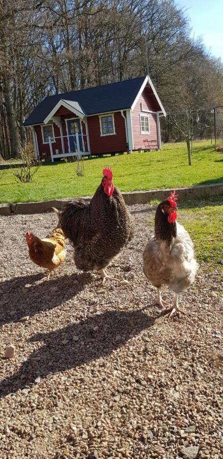 Lill Hagahus, Soederasens Nationalpark Holiday home Kagerod